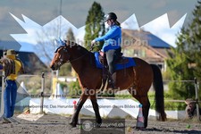 ref. photo 4006061