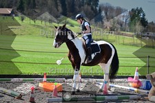 ref. photo 4006081