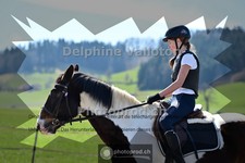 ref. photo 4006087