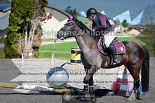 ref. photo 4006305
