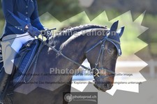 ref. photo 4006394