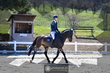 ref. photo 4006397