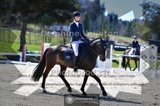 ref. photo 4006401