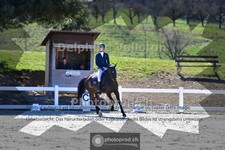 ref. photo 4006402