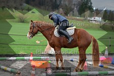 ref. photo 4007206