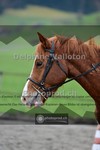 ref. photo 4007213