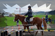 ref. photo 4007219