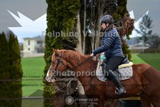 ref. photo 4007226