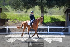 ref. photo 4007317