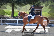 ref. photo 4007327