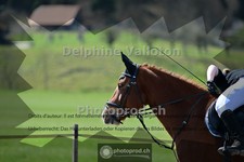 ref. photo 4007366