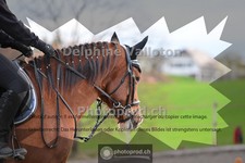 ref. photo 4007406