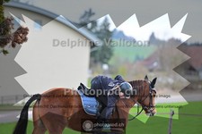ref. photo 4007412