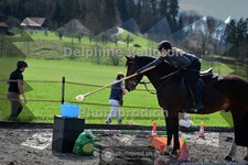ref. photo 4007546