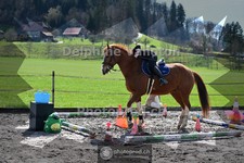 ref. photo 4007696
