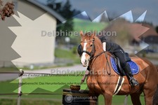 ref. photo 4007707