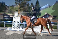 ref. photo 4007967