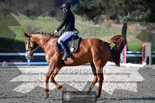 ref. photo 4007974