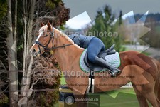 ref. photo 4008065