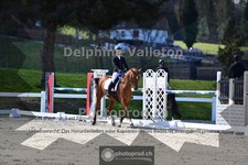 ref. photo 4008160