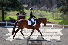 ref. photo 4008176