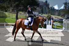 ref. photo 4008177