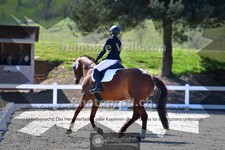 ref. photo 4008184