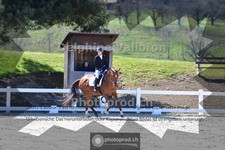 ref. photo 4008185
