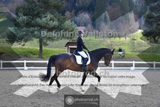 ref. photo 4008206