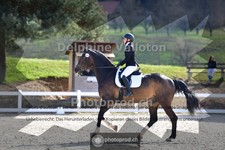 ref. photo 4008215