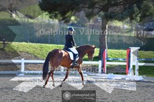 ref. photo 4008290