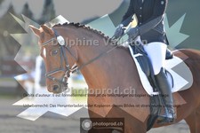 ref. photo 4008293