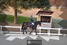 ref. photo 4008354