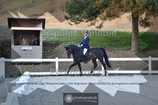 ref. photo 4008362