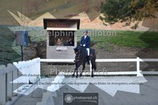 ref. photo 4008363