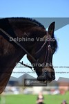 ref. photo 4008486