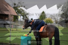 ref. photo 4008625