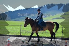 ref. photo 4008670
