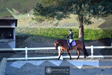 ref. photo 4008734