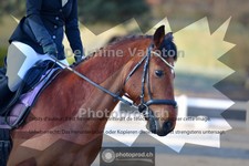 ref. photo 4008736