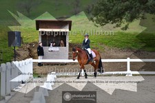 ref. photo 4008741