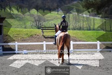 ref. photo 4008901