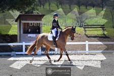 ref. photo 4008904