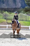 ref. photo 4008919