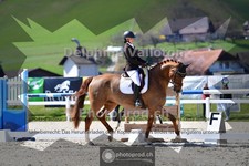 ref. photo 4008923