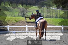ref. photo 4008929