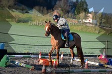 ref. photo 4008981