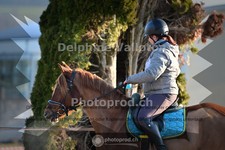 ref. photo 4008999