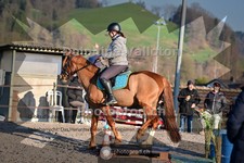 ref. photo 4009008