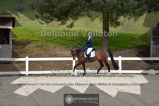 ref. photo 4009069